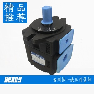 ปั๊มไฮดรอลิกแบบใบพัด HONG YI รุ่น PV2R1 23 FR 8 12 14 17 19 23 25 31 1/2 นิ้ว พร้อมข้อต่อ - Product Image 1
