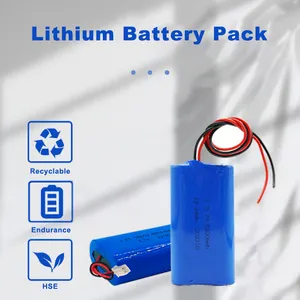 Baterias recarregáveis de íon de lítio 18650 3.6V 3.7V 7.4V 11.1V 12V 24V 36V 48v 20ah 200ah bateria de íon de lítio