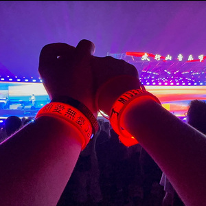 Quà tặng đám cưới cho khách tùy chỉnh Logo Led <span class=keywords><strong>Neon</strong></span> Vòng đeo tay Đảng LED vòng đeo tay sử dụng cho buổi hòa nhạc - Product Image 5