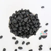 Chinesische Bio kleine schwarze Kidney bohnen Schildkröten bohnen Preis getrocknet-schwarze Bohnen
