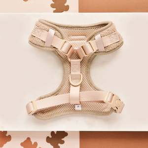 Ensemble harnais et <span class=keywords><strong>laisse</strong></span> pour <span class=keywords><strong>chien</strong></span> Teddy avec distributeur de sacs à excréments, harnais pour <span class=keywords><strong>chien</strong></span> réglable personnalisé sans traction pour chiens de petite, moyenne et grande taille - Product Image 4