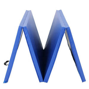 Hot Selling PVC <strong>Gymnastics</strong> <strong>Equipment</strong> <strong>Cheap</strong> Indoor and Outdoor Blue Kids' Fitness Gear - Product Image 4