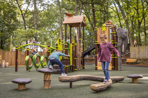 Équipement de terrain de jeux en plein air, toboggan en bois, équipement Little Tikes, équipement commercial, zoo à thème, parc d'attractions - Product Image 5