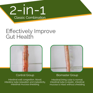 Probiótico Sinérgico en Polvo Soluble en Agua, Bacillus Subtilis y Bacillus Licheniformis, para la Regulación de la Flora Intestinal de Aves de Corral - Product Image 4
