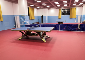 Tappetini Sportivi Indoor in PVC Enlio 5,5mm Approvati ITTF di Alta Qualità per Campi da <span class=keywords><strong>Ping</strong></span> <span class=keywords><strong>Pong</strong></span> Durevoli e Ignifughi - Product Image 6