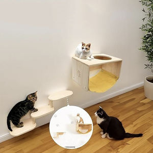 YOUME - Salon mural modulaire pour chat en bois de pin naturel avec échelle d'escalade, capacité robuste de 20 kg, certifié ISO et BSCI - Product Image 4