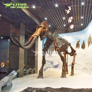 Museo de Fósiles de Animales, Dinosaurio de Mamut Animado y Realista en 3D - Product Image 2