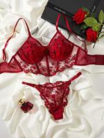 Conjunto de Lencería Sexy Transparente con Corsé y Sujetador Rojo de Encaje con Control Ligero para Mujeres y Chicas