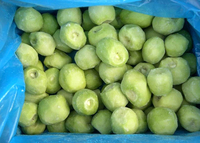 Bevroren Freeze Verse Kiwi Fruit Prijzen 1Kg