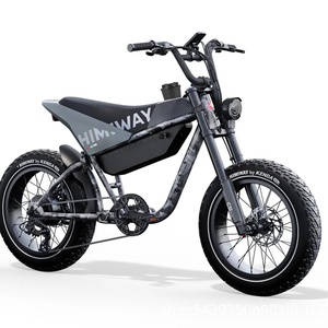 Motocicleta de 750W y 80km/h con Batería de Litio de Doble Celda, China - Product Image 3