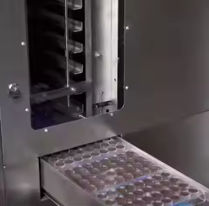 Les vermicelles de <span class=keywords><strong>chocolat</strong></span> arrose l'extrudeuse de décoration de gâteau de sucrerie faisant la machine - Product Image 3