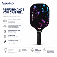 Set Raket Pickleball Fiberglass Grosir Pabrik dengan 2 Raket 4 Bola Tas Jinjing OEM ODM MOQ 1