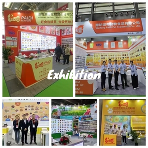 Golosina de Carne de Pollo Orgánica para Perros, Alta en Proteínas, Sin Granos - Product Image 5