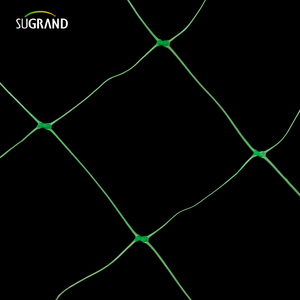 美国pp与UV保护8gsm蔬菜植物配套网在线甜豌豆攀登 - Product Image 3