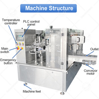 Machine de remplissage et d'emballage horizontale pour sachets préformés OCEAN avec bec verseur