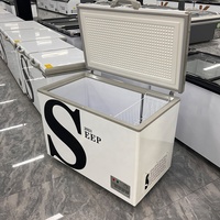 Équipement de supermarché commercial, congélateur horizontal à LED, capacité de 500 L, affichage des aliments congelés, poisson, contrôle numérique, dégivrage manuel