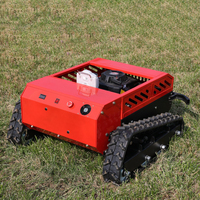 Tondeuse à gazon RC 550 mm à essence, prix usine, vente chaude, pour terrains agricoles