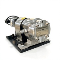 Pompe doseuse à engrenages de haute précision en fer/SUS304/SUS316 avec servomoteur pour distribution de liquides visqueux, fabriquée en Chine