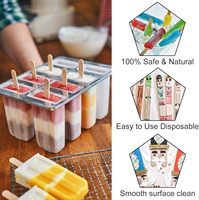 Bâtonnets de crème glacée en bois biodégradables, écologiques et durables pour fabricants de sucettes glacées, présentations de desserts, vente en gros