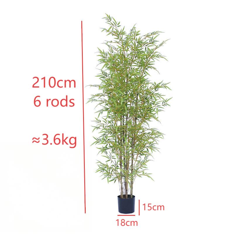 Yellow stem bamboo 210cm