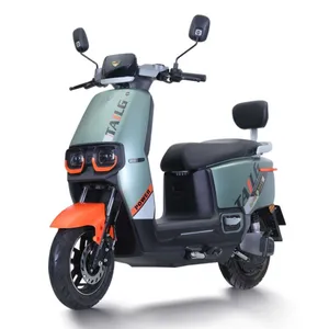 Bumper Nieuw Product 1200W Lange Afstand 80Km Mobiliteit Off-Road 2-zits Scooters Elektrische Motorfiets