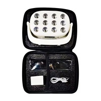 Appareil de luminothérapie rouge miniature, 12 LED, fréquences réglables, batterie rechargeable, luminothérapie infrarouge