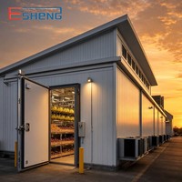 Industriële koelcel voor gedroogd fruit, vochtigheidsgecontroleerde koelcel voor de export van Deglet Nour en Medjool dadels.