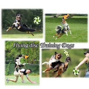 Disco Volador Profesional de Plástico para Perros, Diseño Personalizado, para Entrenamiento Deportivo en Playa, para Niños, Venta al Por Mayor - Product Image 6