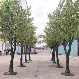 Vente en gros d'olivier artificiel personnalisé de haute simulation d'olivier avec des fruits naturels à la recherche de décoration intérieure et extérieure - Product Image 2