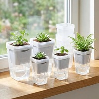 Nouveaux pots auto-arrosants 2026 – Pots de pépinière avec trous de drainage – Jardinières en plastique translucide pour mini-plantes et semis