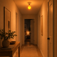 Ampoule LED à 3 modes pour l'éclairage domestique, lumière rouge orangée 1600K, spectre complet 4000K, A19 E26 E27 B22, CRI 90 élevé, dimmable