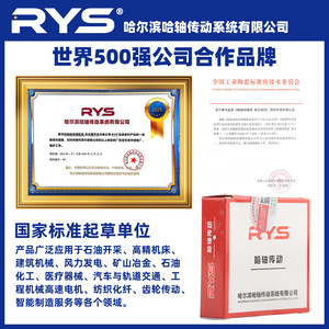 RYS แบริ่งลูกกลิ้งแบบเข็ม Haxon 6x30x8 มม. แถวเดียว ไม่มีซีล เมตริก แบริ่งเหล็ก - Product Image 5
