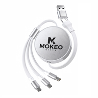Kit d'accessoires de bureau pour entreprises : Souris sans fil, clé USB, câble de charge avec logo personnalisé pour cadeaux promotionnels et cadeaux pour employés
