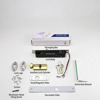 Kit de serrure électrique 12V 24V pour porte d'hôtel, villa, bureau, prison