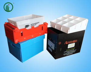Pp Box Pp PP PE Limestone Plastic Corrugated Box
