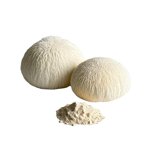 A granel personalizado 10:1 <span class=keywords><strong>Hericium</strong></span> <span class=keywords><strong>Erinaceus</strong></span> polvo de extracto de hongo orgánico Lions Mane polvo de extracto de hongo - Product Image 1