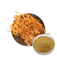 GANOHERB Extraits de Plantes Biologiques Cordyceps Sinensis Militaris Extrait en Poudre Mélange Superalimentaire Compléments en Poudre