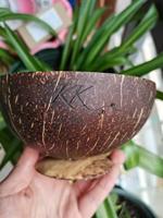 Natuurlijke Hot Selling Gift Decoratie Keuken Dessert Salade Ijs Kokosnoot Kom Met Stand