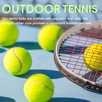 Hot-vente 9.5 ''Grande balle de tennis gonflable balle de tennis imprimée personnalisée pour le jeu de chien