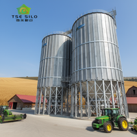 Grande Silo Professionale SolisFer in Acciaio Zincato con Assemblaggio a Bulloni per Stoccaggio di Grano e Cereali, Capacità 150-10000 Tonnellate