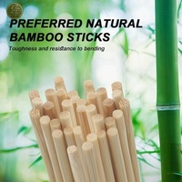 Premium bamboe spiesjes van 50 cm, exportkwaliteit barbecueprikkers, aangepast logo mogelijk