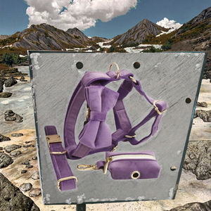 高級カスタムナイロン犬用ハーネスリーシュセットボタン閉鎖ファッションスタイルブレイクアウェイ特徴パーソナライズされたあなたの毛皮のような友人 - Product Image 2