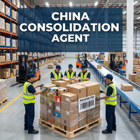 Transporte Marítimo 20GP de CN a CA, Agente de Carga de Shanghái/Ningbo/Shenzhen/Qingdao/Xiamen, Consolidación de Carga