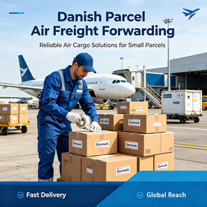<b>Dropshipping</b> Agent China to Denmark Small Package 0-5kg Shipping Service By Air DDP 3PL Service for Shopify Etsy Amazon - Product Image 6