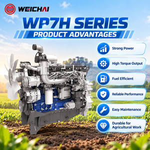 WEICHAI WP7HG195E443 192PS 143kW Landwirtschaftlicher Dieselmotor Stabile Leistung Kraftstoffsparend für Traktoren und Bodenbearbeitung - Product Image 3