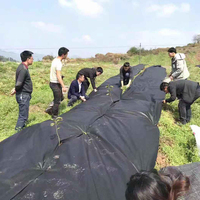 Toile écologique en PLA respirante noire pour usage agricole, 3-5 ans, 1,0 m x 300 m, tapis de désherbage
