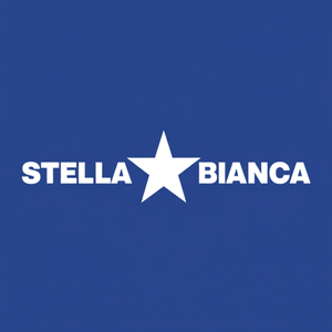 Stella bianca 65mm elettrolitica diamante nucleo punta trapano per pietra artificiale - Product Image 1