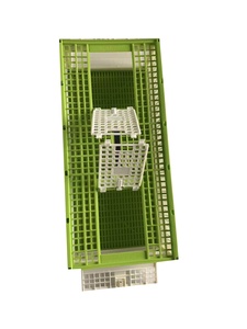 JIATAI卸売折りたたみ式プラスチック鳩フライングケージ75*35*24鳥の繁殖輸送用鳥のキャリア - Product Image 4