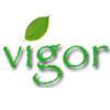 Shenyang Vigor Foreign Trade Co., Ltd. logo