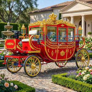 Vente en gros de calèche royale électrique de luxe rouge à 6 places, double rangée, taille personnalisée, calèche de cérémonie classique, prix d'usine - Product Image 1